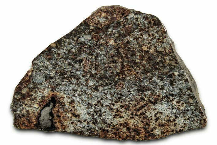 Chondrite Meteorite Section ( g) - NWA #347085